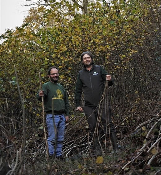 Malvern Coppicing And Mht Parkwood Altered Low Res V2