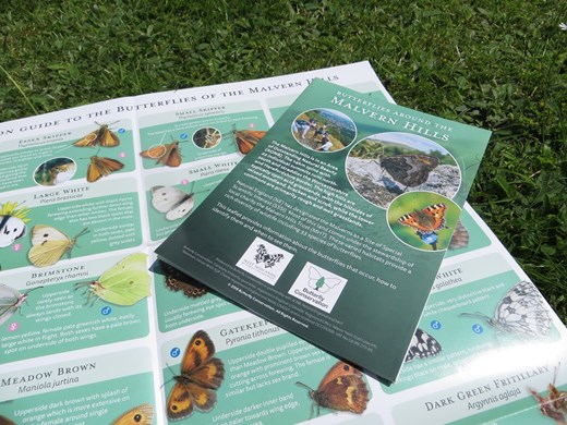 Malverns Butterfly Leaflet 2018 Low Res