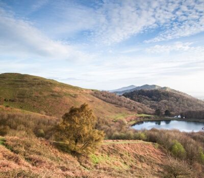 Malverns Early Morning Mhc Website