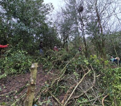20241220 Old Hollow Land Vol Task Day