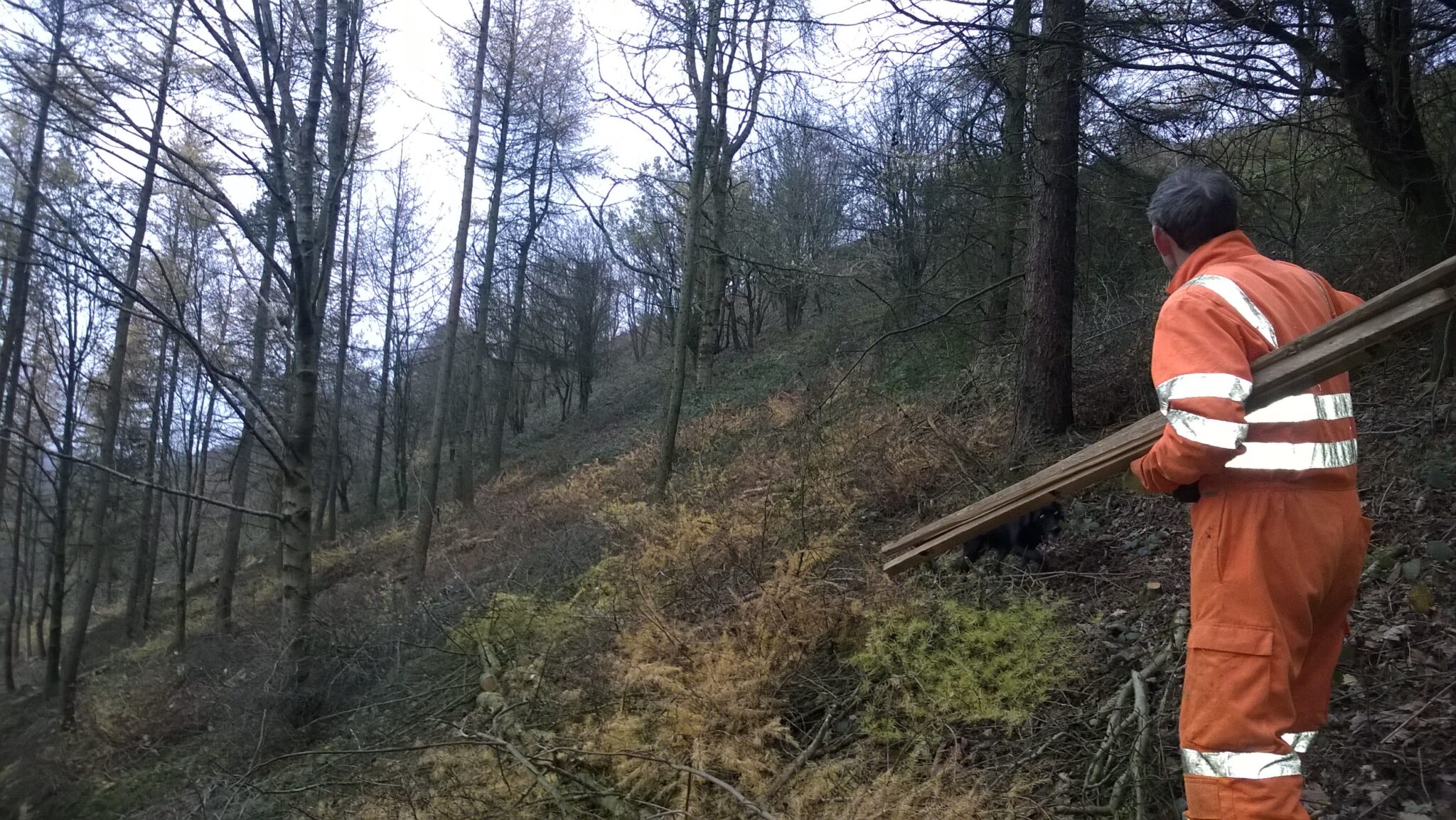 Contractors Thirds Wood
