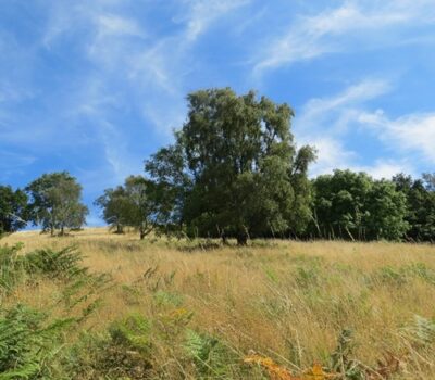 Slopes Of Perseverance Hill Low Res