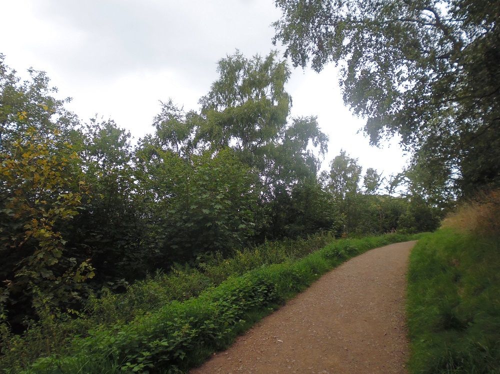 Easier Access Track Black Hill Low Res