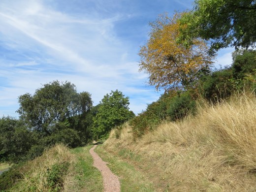 Path Jubilee Drive Website