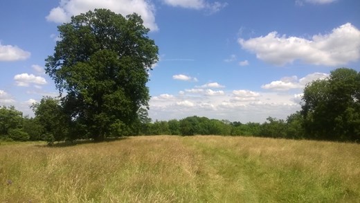 Woodfords Meadow Website